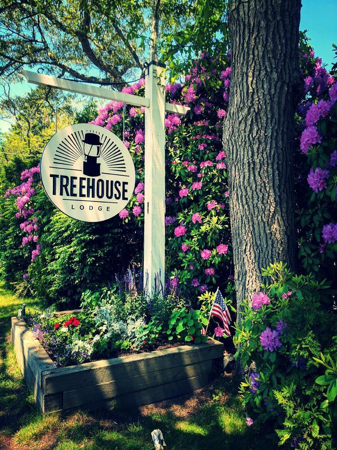 Treehouse Lodge Вудс-Хол Экстерьер фото